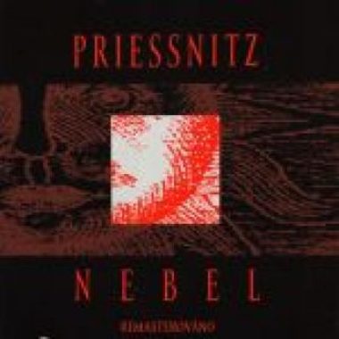 Priessnitz, Nebel, mastering LP, vinyl Broněk Šmid, B&Studio