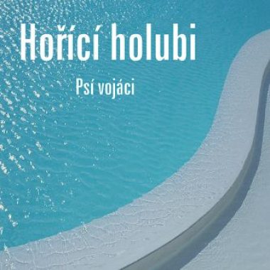 Psí vojáci, Hořící holubi LP, vinyl, mastering Bronek Smid, B&Studio, broneksmid.cz